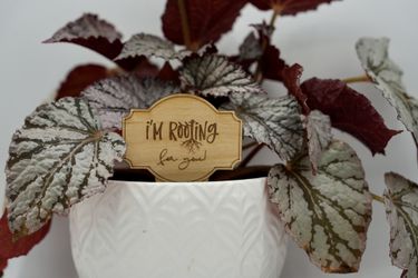 Plant Signs 