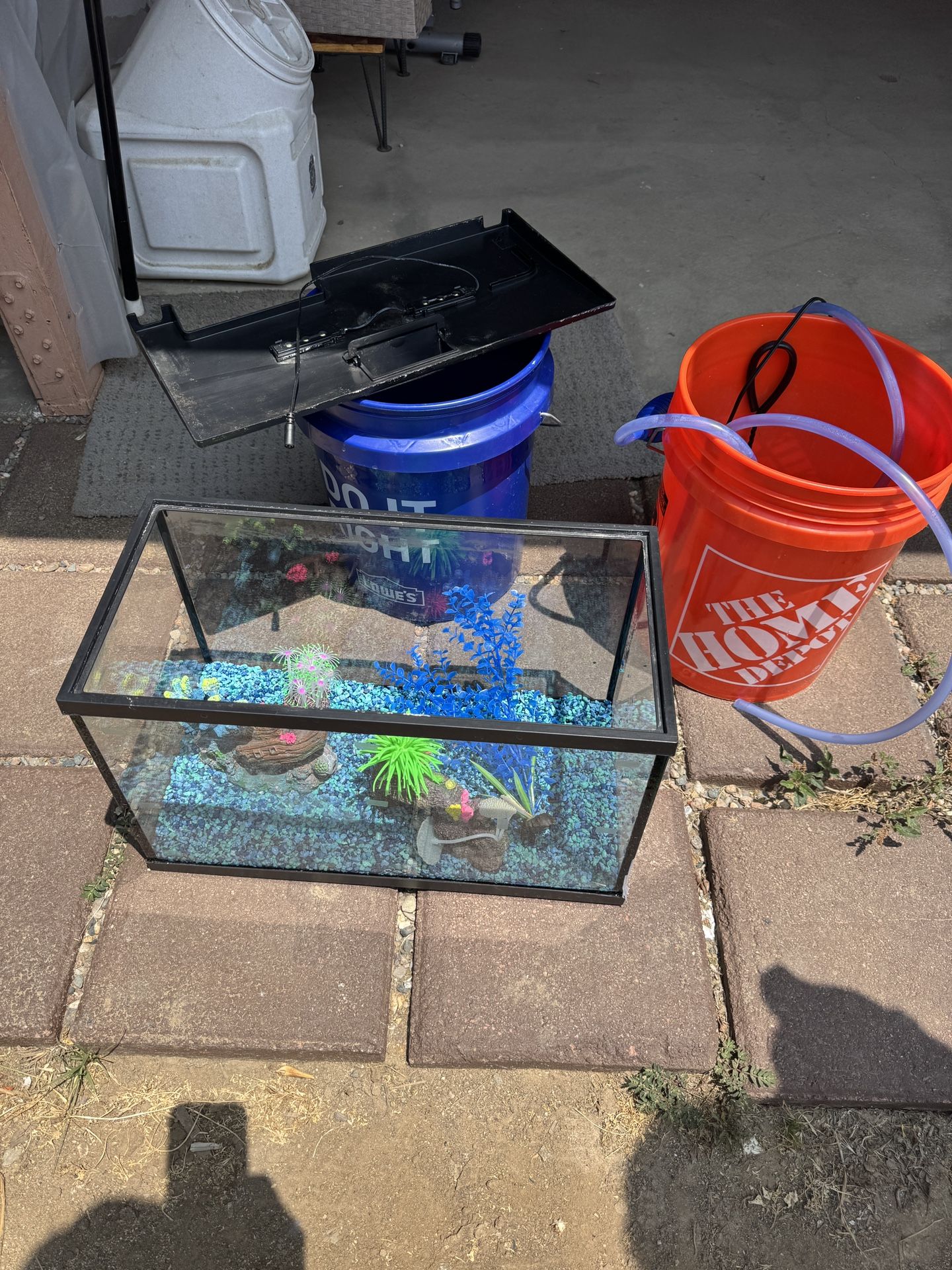 Fish Tank