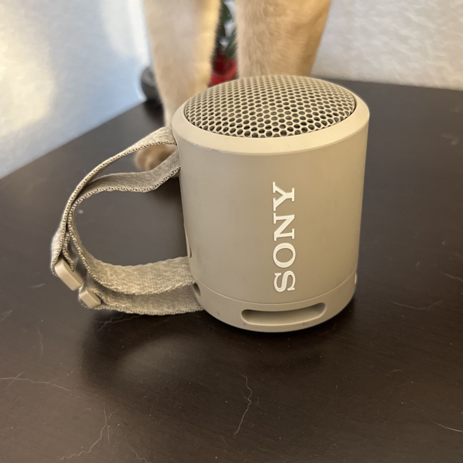 Compact Sony Wireless Speaker