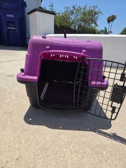 Kennels