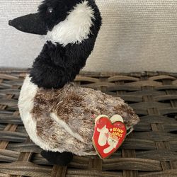 Ty New!!!! Duck Plush 6”with Tags