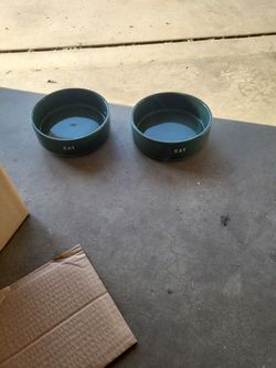 Dog Bowl