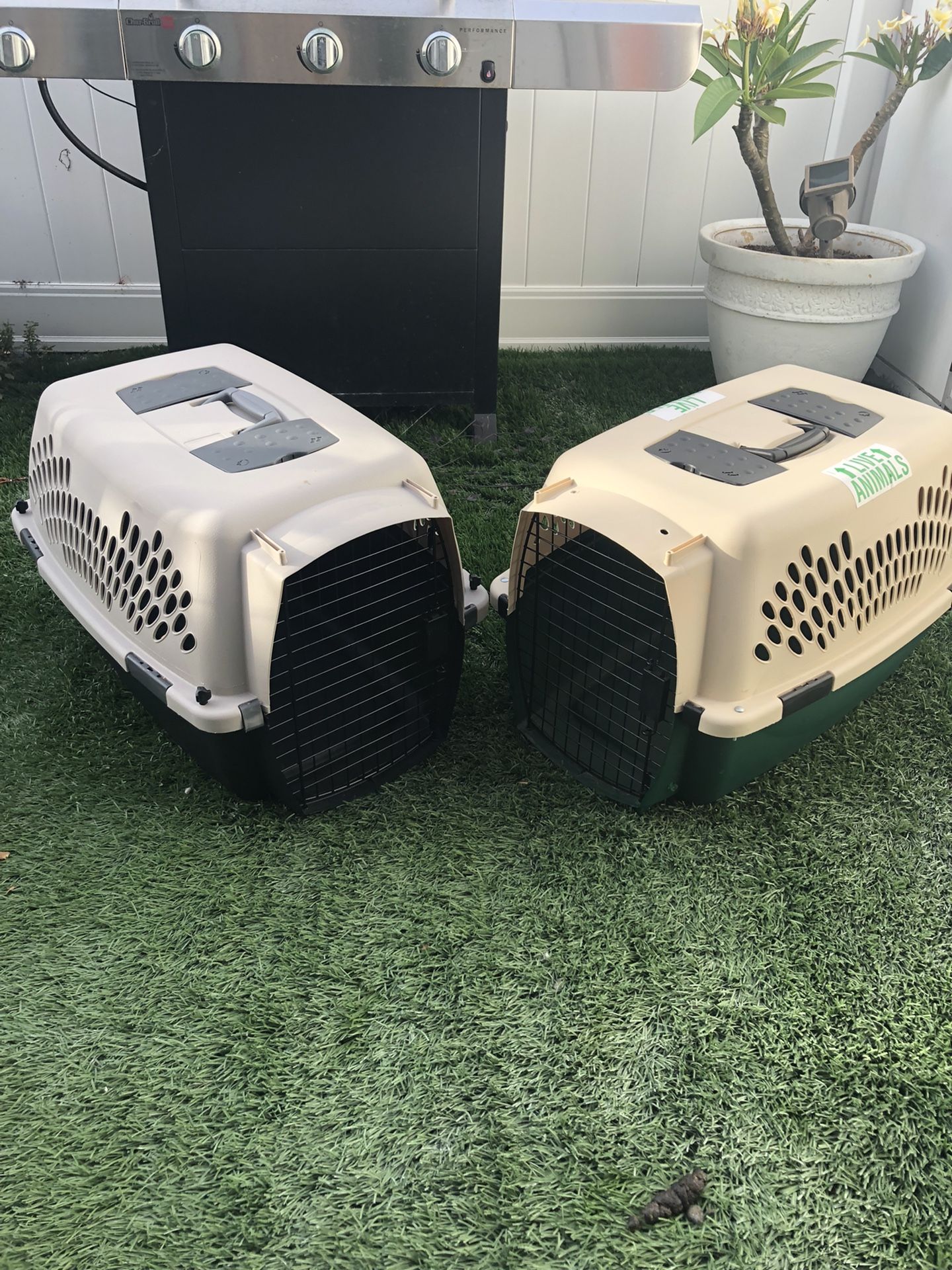 2 Airline Crates Each $15 Clean