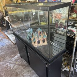 Fish Tank 60 Gal