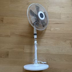 Pedestal Fan