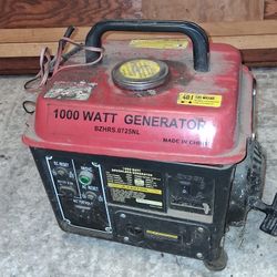 1000 Watt Brushless Generator 