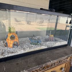 Fish Tank Starter Kit