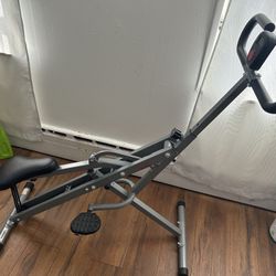Sunny Health & Fitness Row-N-Ride Squat Assist Trainer