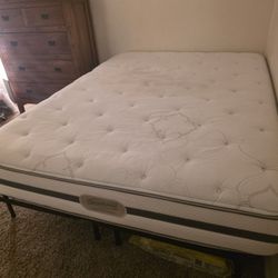 Queen Bed And Frame 