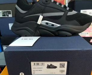 Dior B22 Sneakers Black Calf Mesh