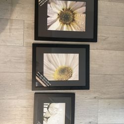 Three Picture Frames 