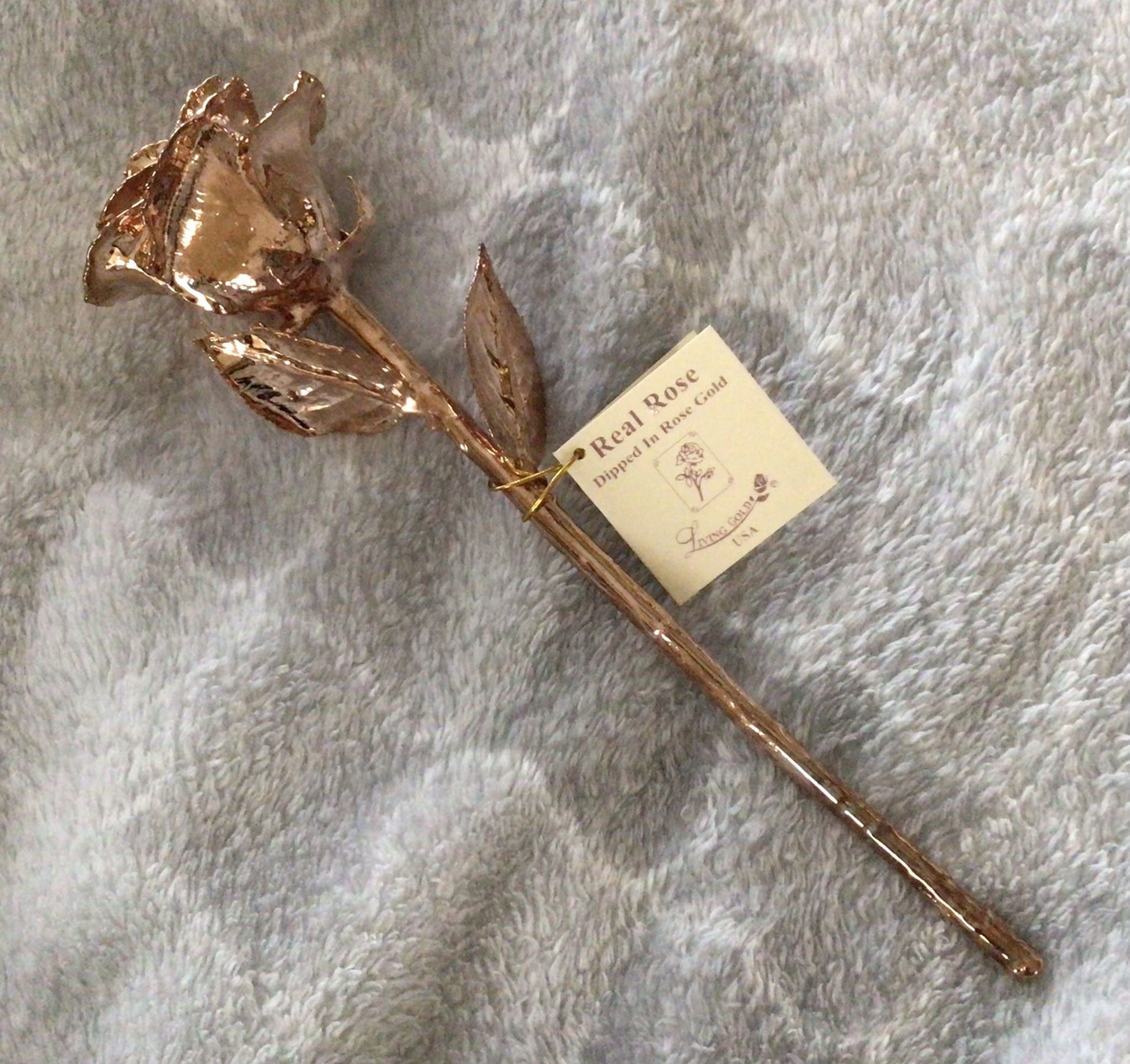 Living Gold Real Rose Dipped In Rose Gold