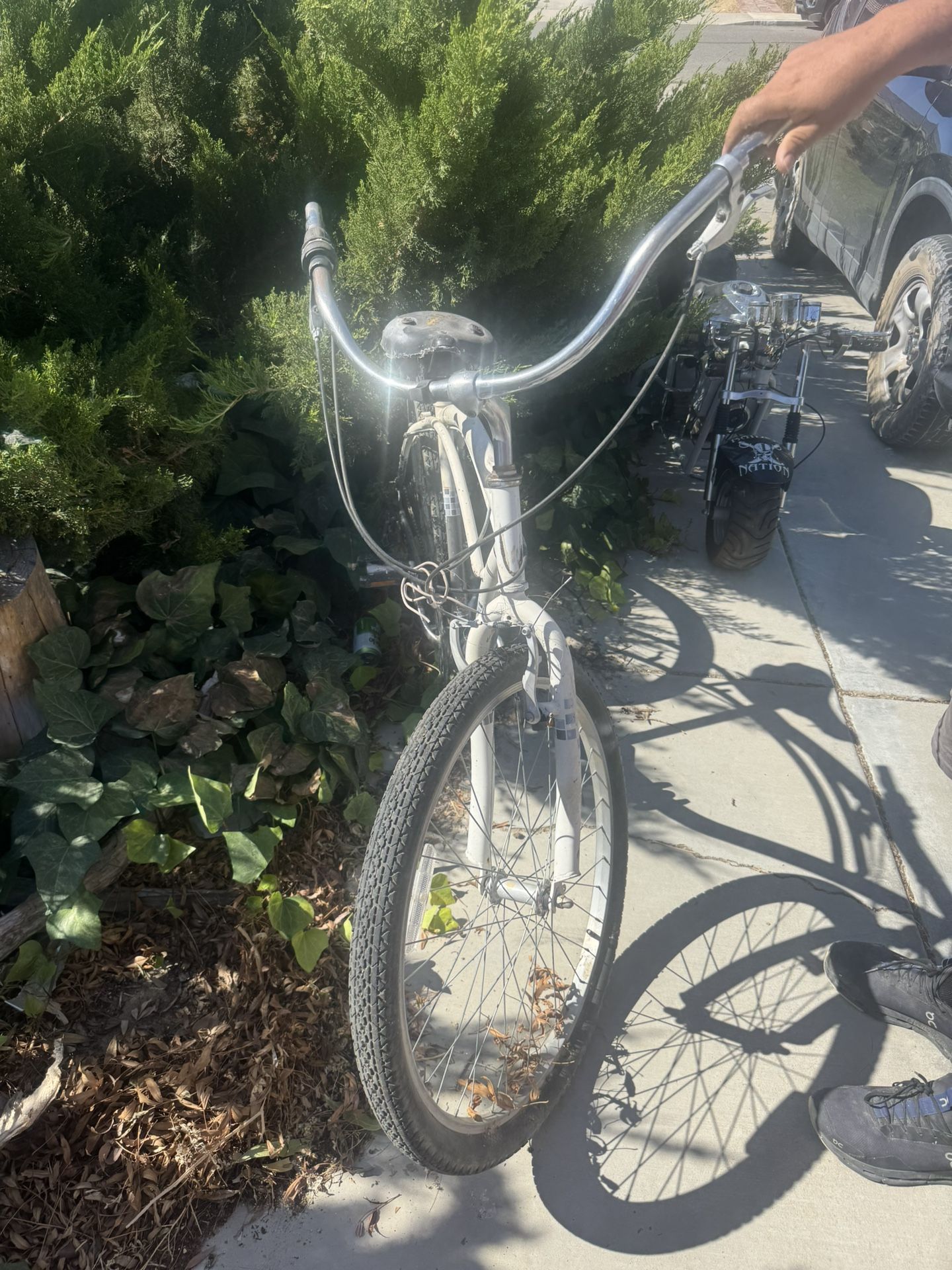 26” Schwinn Landmark 7 -speed Cruiser Bike