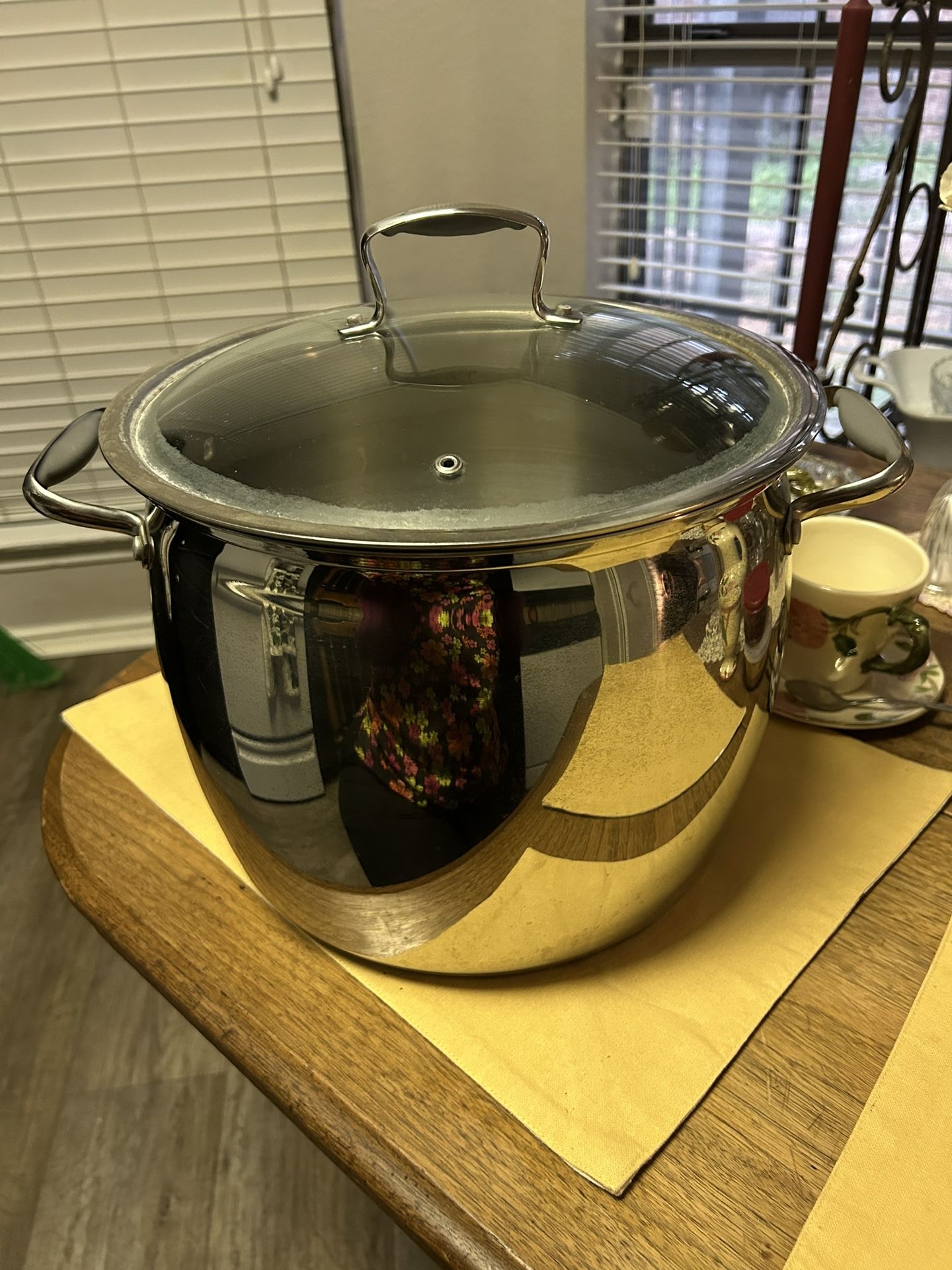 Stainless Steel 16qt Pot