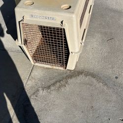 Dog Kennel 