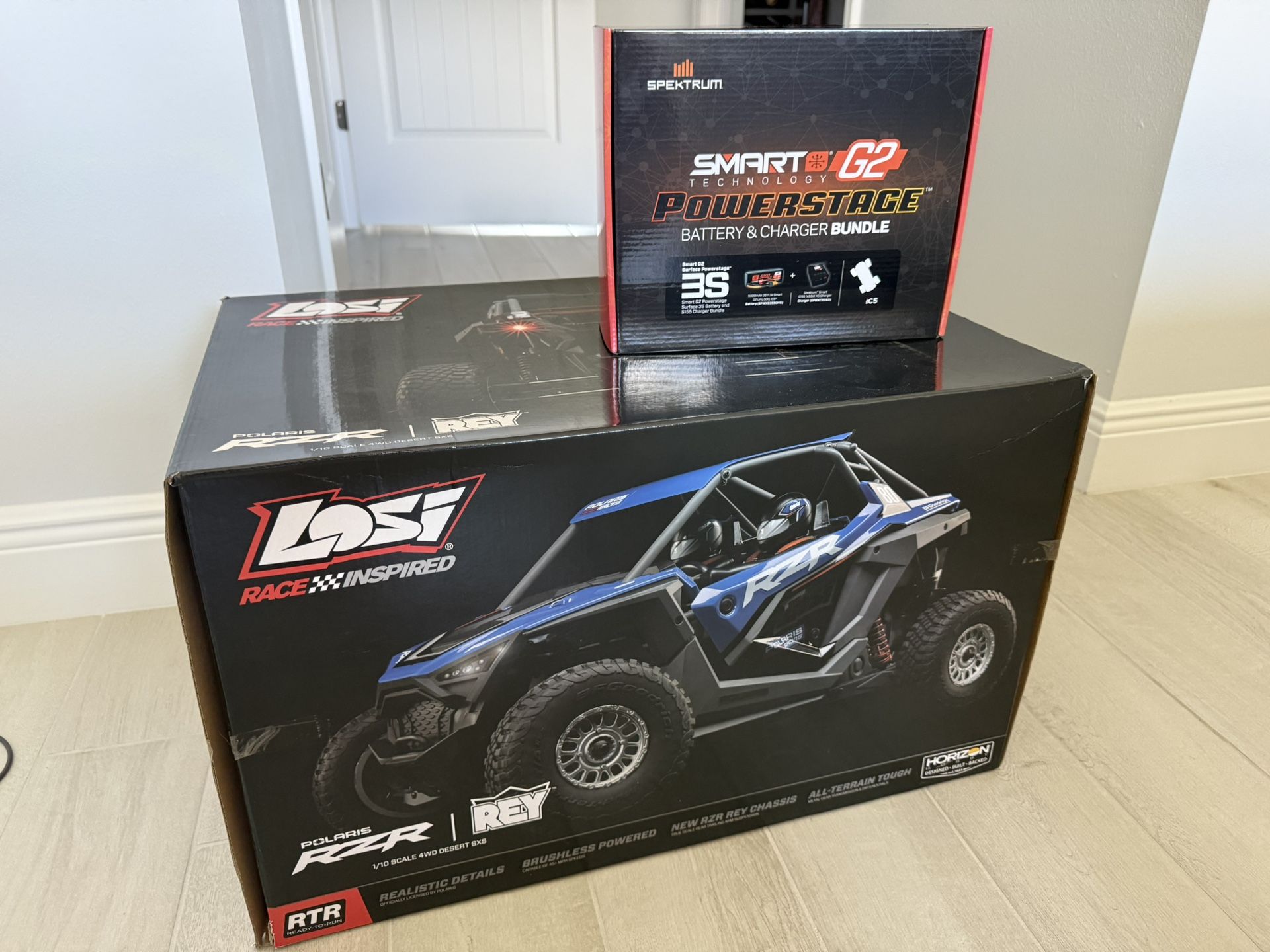 Losi RZR Rey
