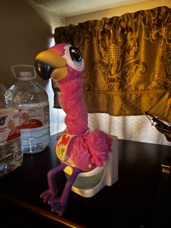 Uh oh gotta go flamingo