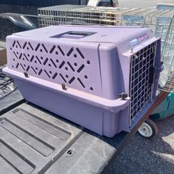 Purple Pet Carrier Small