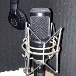 AT2020 (Condenser Microphone) 