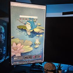 24in monitor 