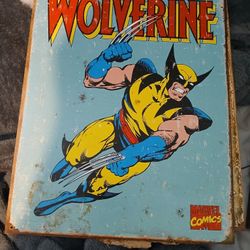 Super Hero Tin Photos 