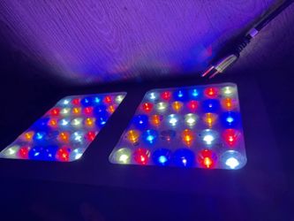 Viparspectra Grow Light Fake