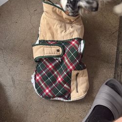 Dog Jacket