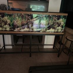 125 Gallon Fish Tank With Stand