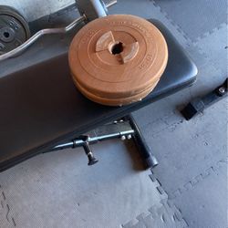 2-10lb Weights