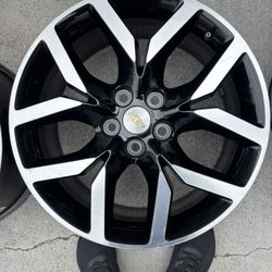 19 Rims