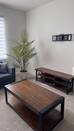 Coffee Table and TV Stand with Open Shelves