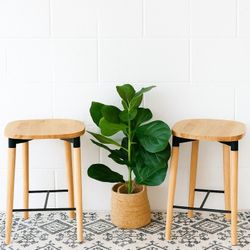 Modern Barstools (Set Of 2)