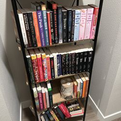 Mixed Media Bookshelves 