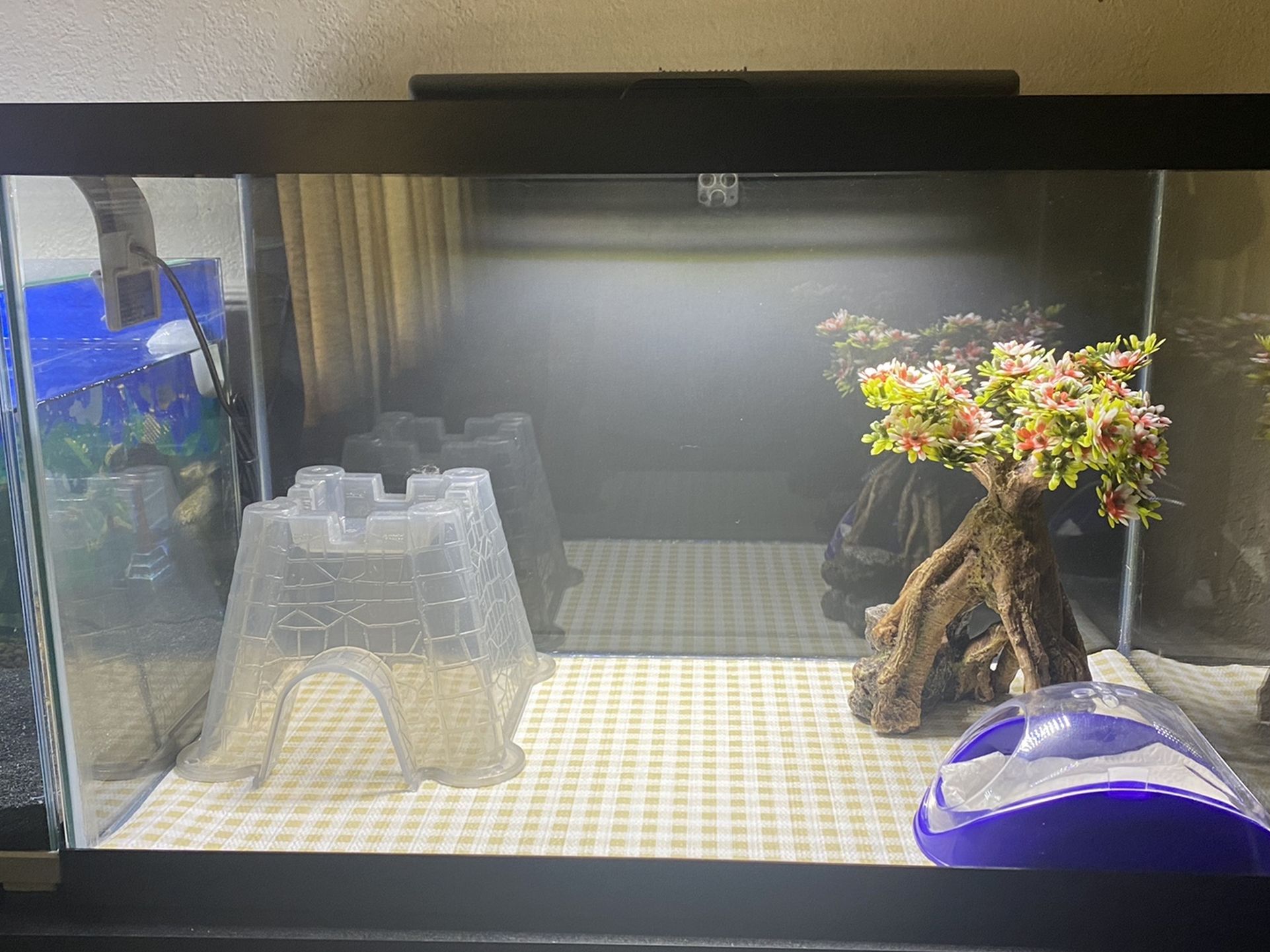 10 Gallon tank With Lid