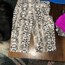 Dress Pants 