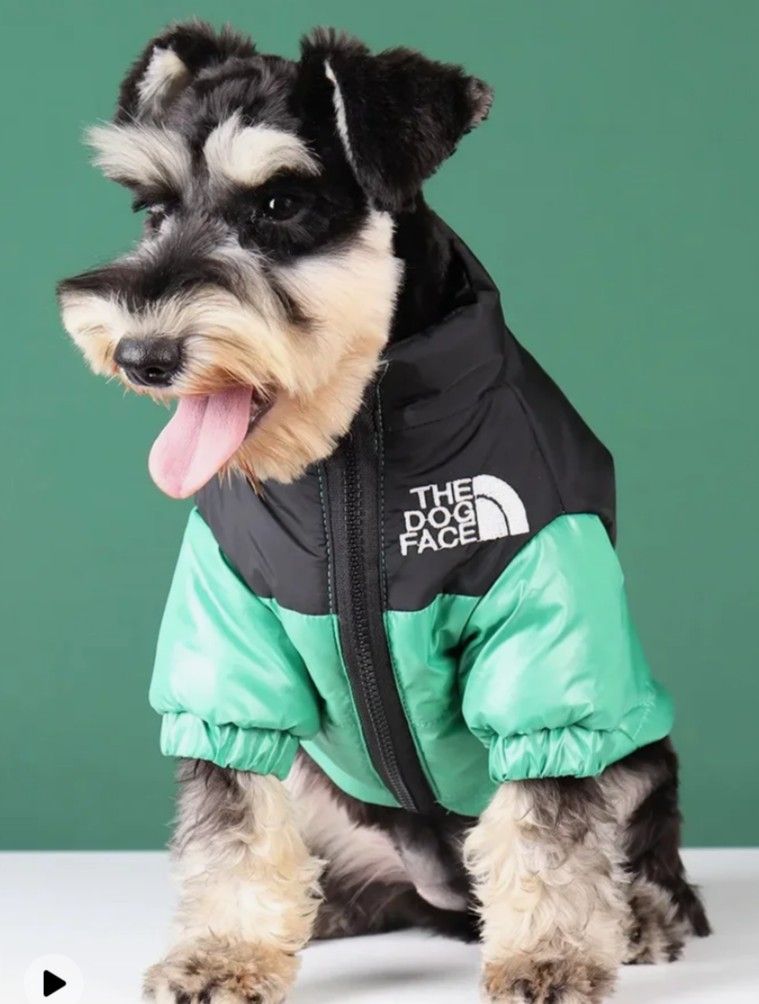 DOG SWEATER