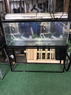 55 gallon tank with stand and light