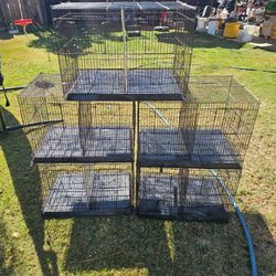 Birds cage