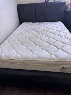 Queen Bed With Box Springs And Mattress