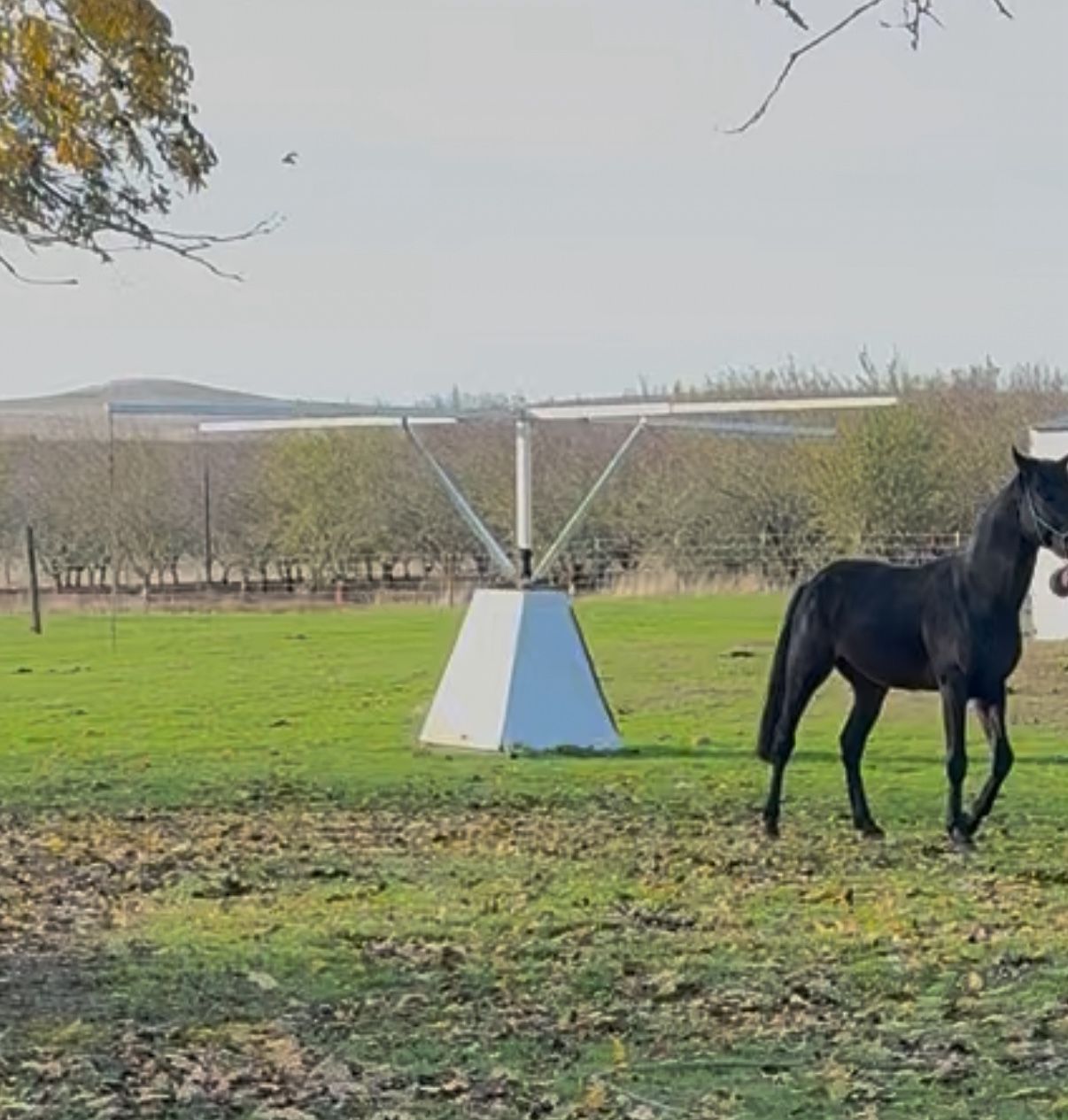 4 Horse Hot Walker