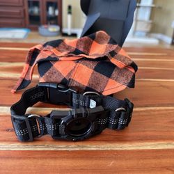 New Dog Collar With Apple Tag Holder 