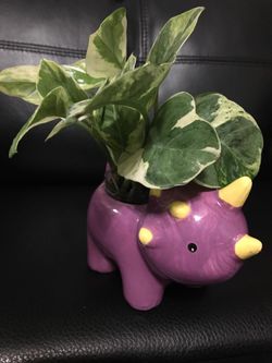 Animal figurines with real live plants