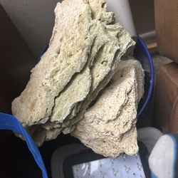 Bunch Of Coral Rocks