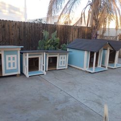 Casas Para Perro 