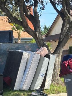 free mattresses