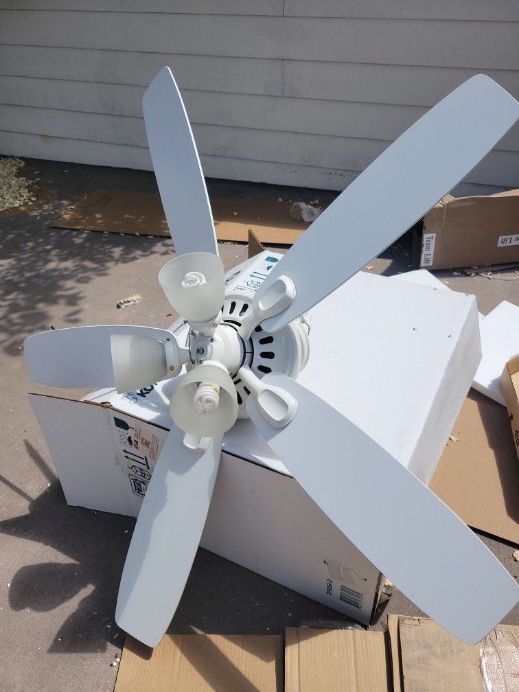 Fan