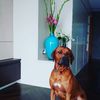 Nadia