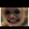 Andrew
