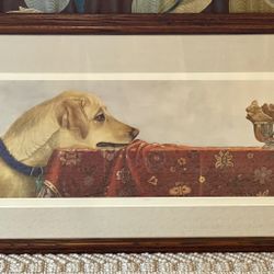 Calling All Dog Lovers!