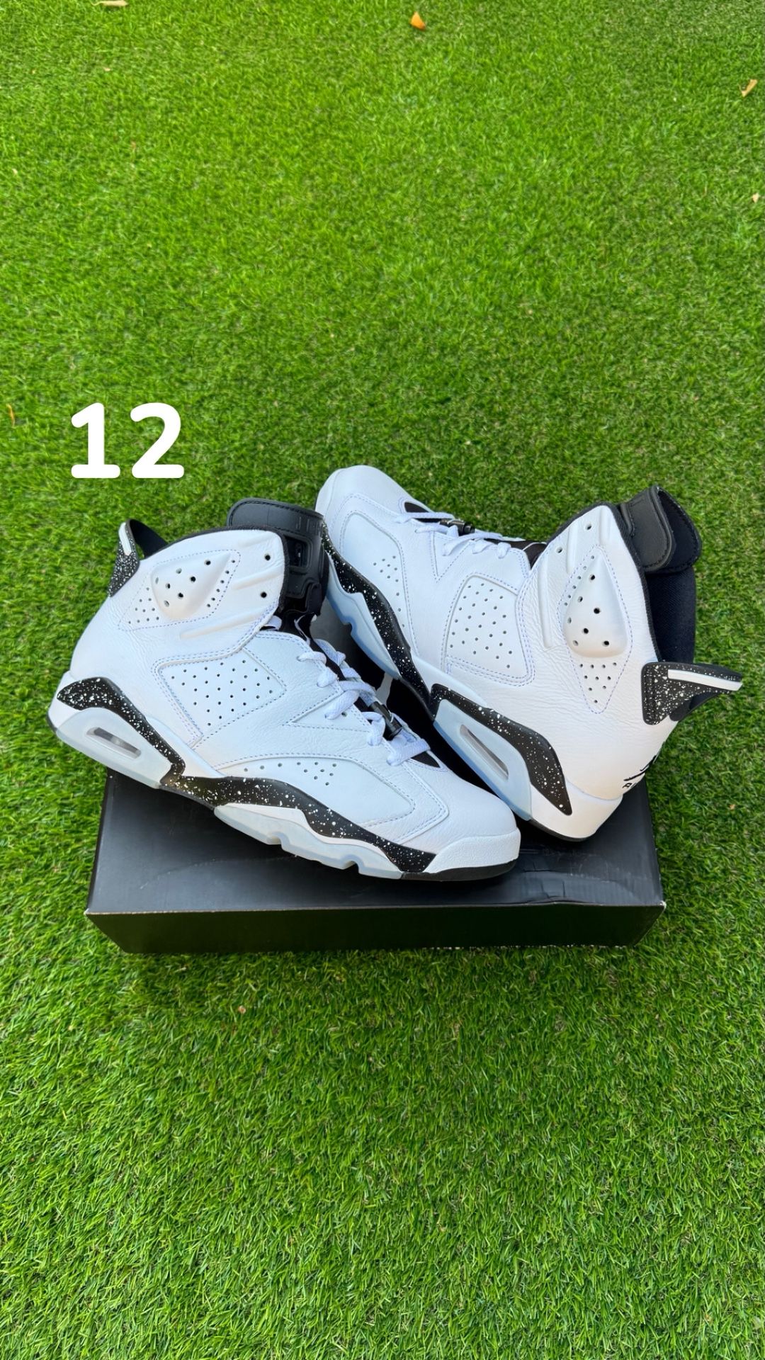 Jordan 6 Reverse Oreo Sz 12